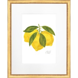 KS- LEMON 2